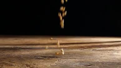 升格小麦小麦草麦草小麦种子小麦嫩芽发芽视频的预览图